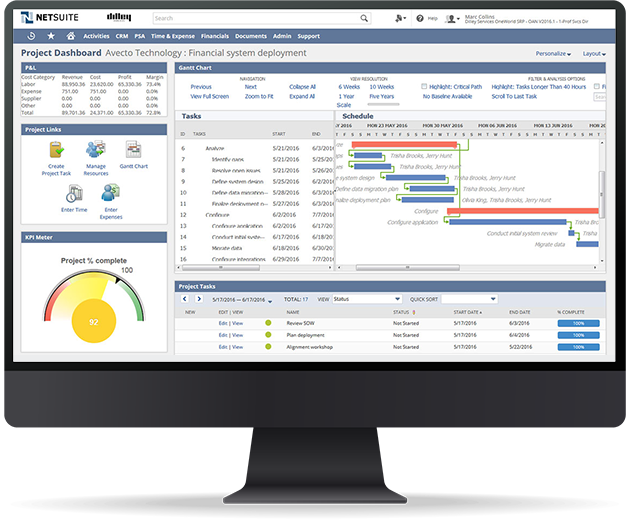 Netsuite professional services screenshot on the desktop