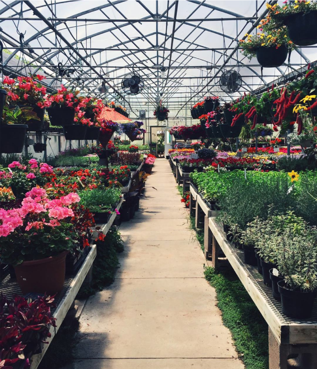 Sheridan Nurseries 