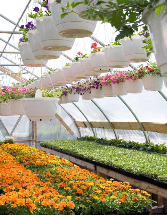 A Collaborative Approach and Partnership Driving Sheridan’s Success   