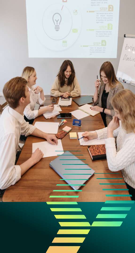 The Implementatio Process
