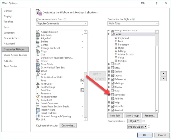 turn on the Developer Tools in Microsoft Office