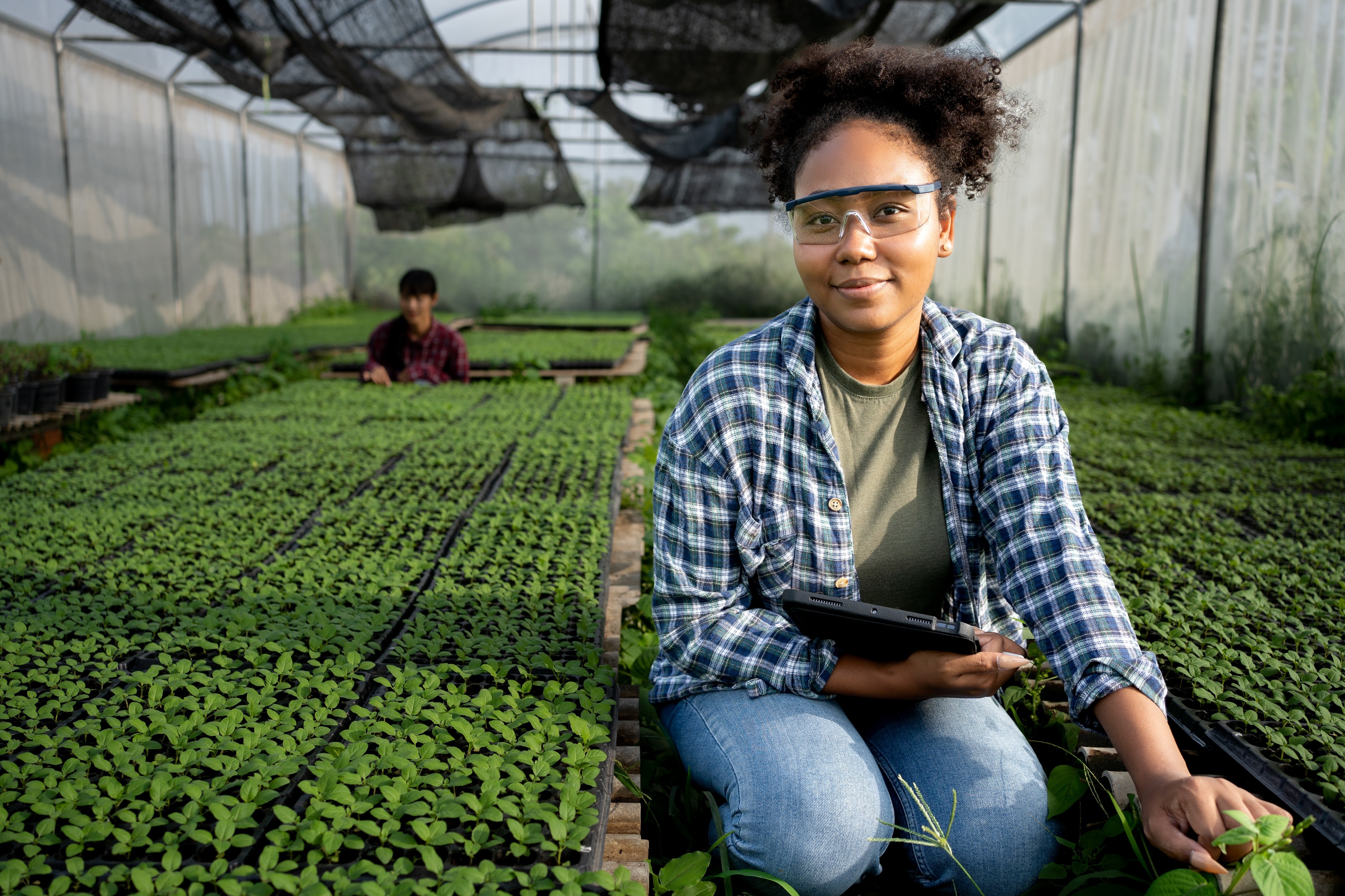 Why Nurseries are Turning to the Cloud to Protect Their Plants and Profit
