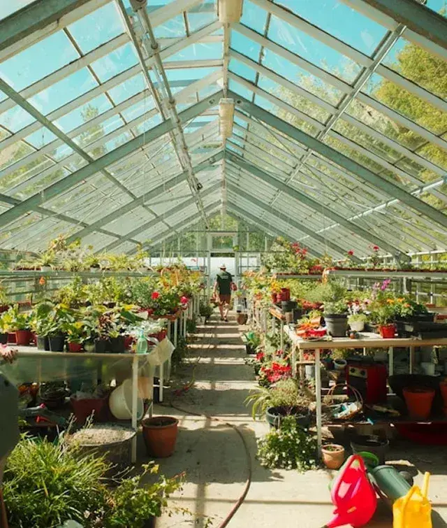 Agriculture & horticulture