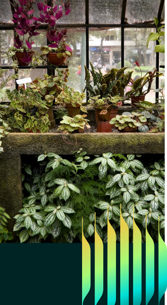 Sheridan Nurseries