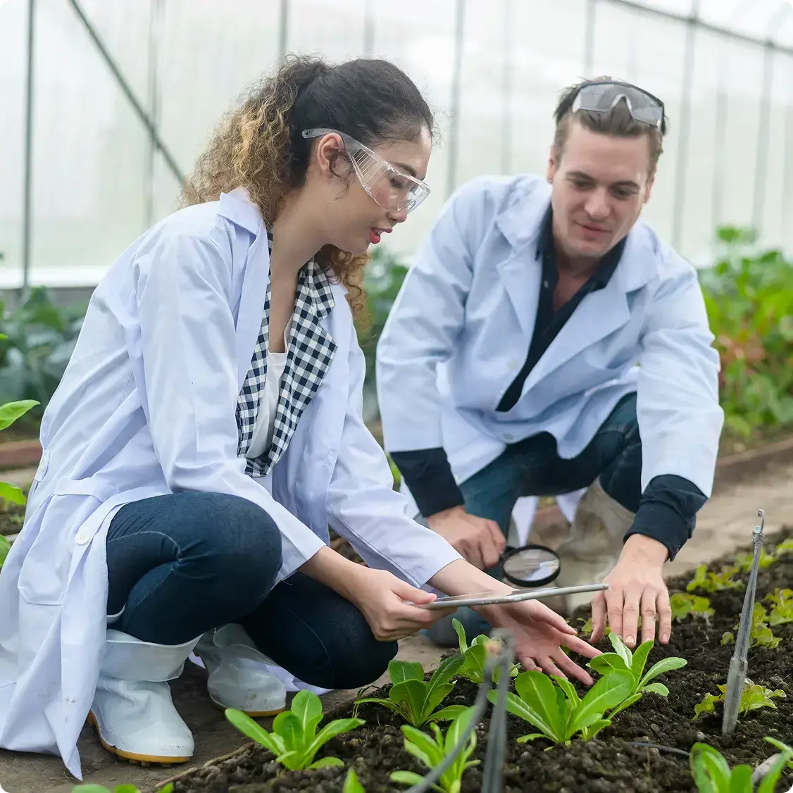 Grow smarter from crop schedule to shipping dock