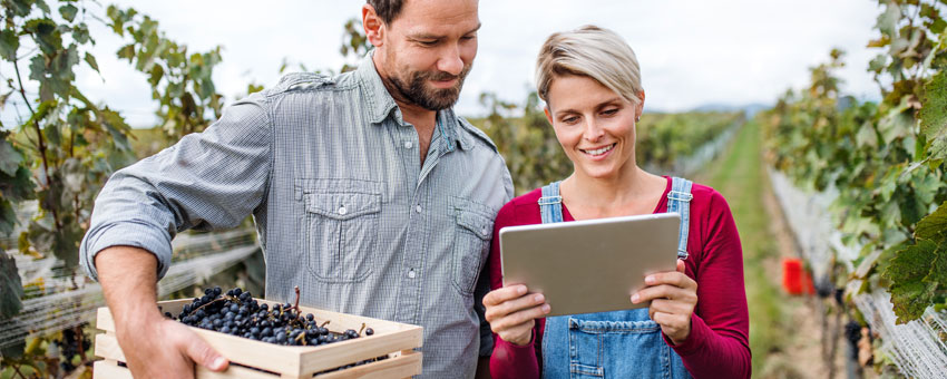 Life After QuickBooks: The Sky’s the Limit for Wineries with Business Central and VinPoint