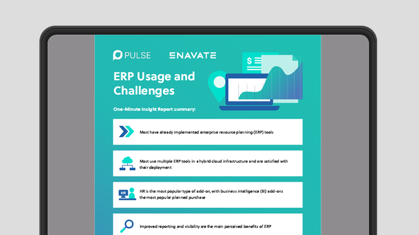 ERP Usage and Challenges