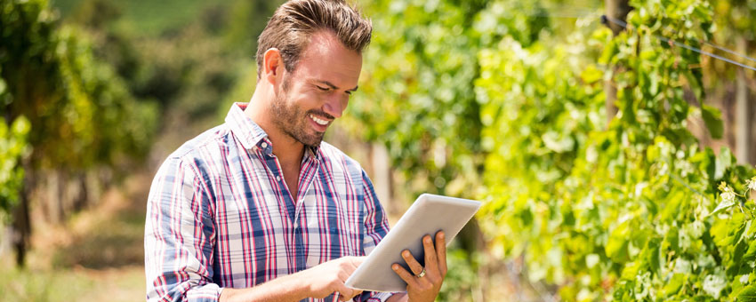 Compliance in Wine Making is a Fine Art to be Mastered