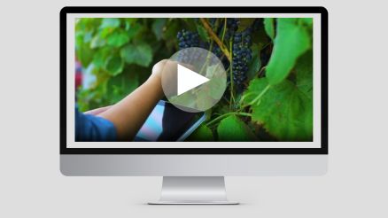How VinPoint Helps Wineries